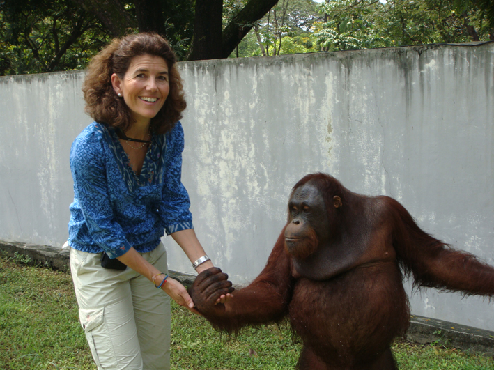 Zootier-Hilfe in Indonesien