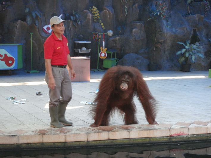 Zootier-Hilfe in Indonesien