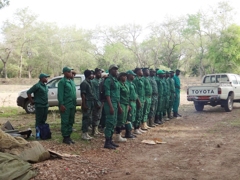 AZWS Wildtierschutz in Kamerun 2017