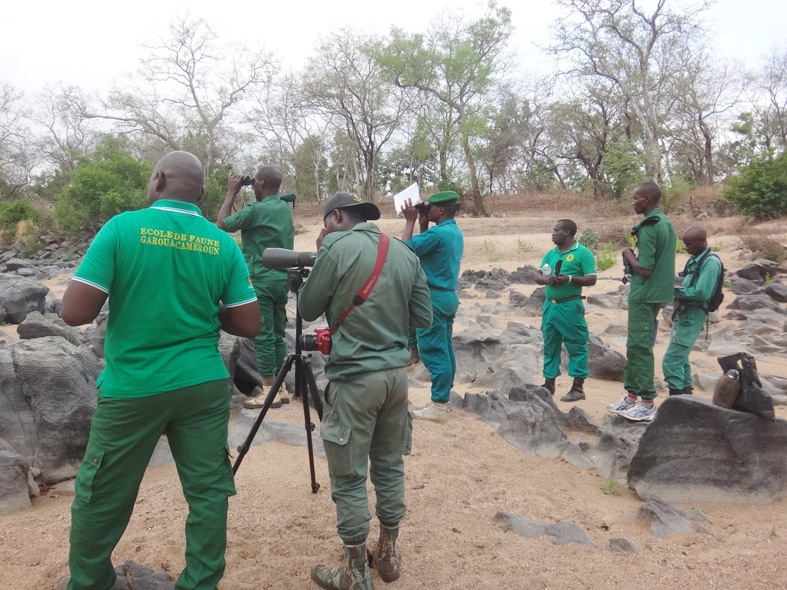 AZWS Wildtierschutz in Kamerun 2017