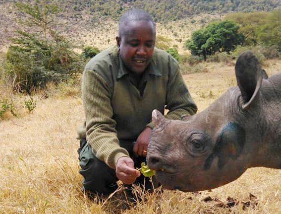 Zootierhilfe Nashorn