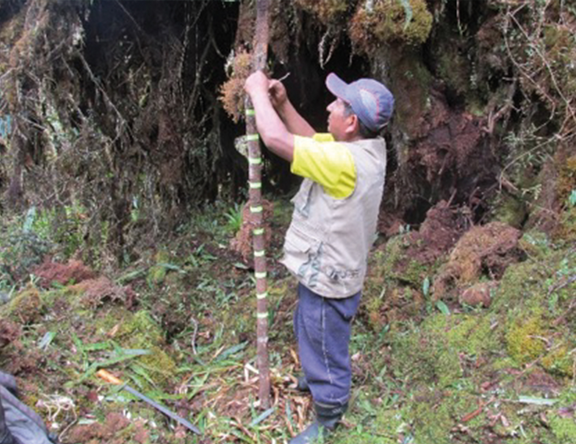 AZWS Wildtierhilfe Peru 2018