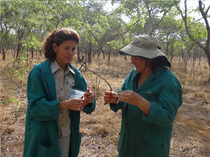 AZWS Elefantenhilfe Sambia 2014