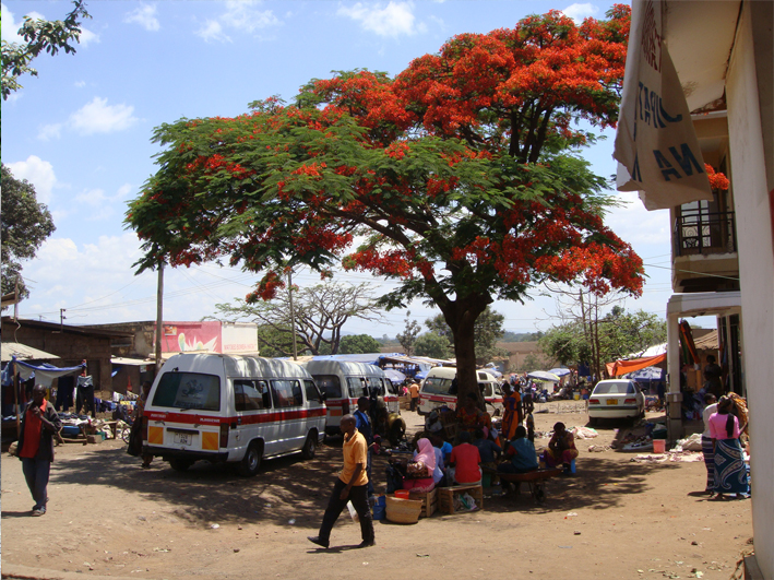 AZWS in Tansania 2014