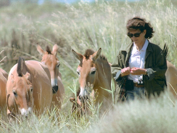 AZWS - Akademie für Zoo- und Wildtierschutz e.V.