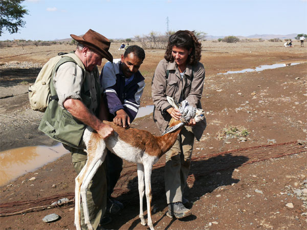 AZWS - Akademie für Zoo- und Wildtierschutz e.V.