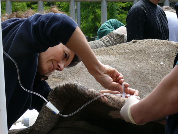 AZWS - Akademie für Zoo- und Wildtierschutz e.V.