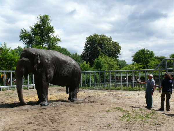 AZWS - Akademie für Zoo- und Wildtierschutz e.V.