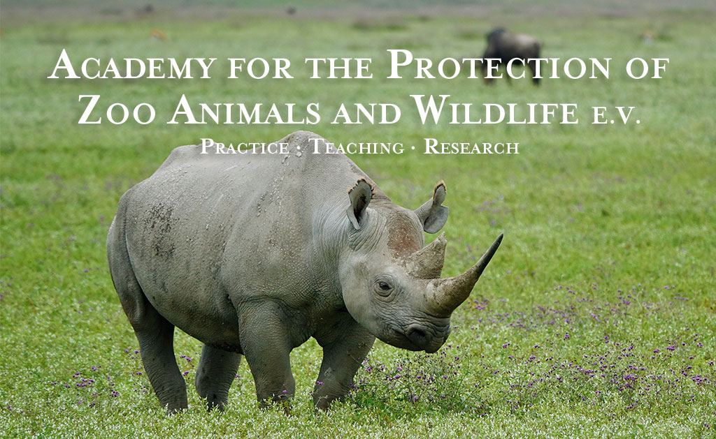 Akademie für Zoo- und Wildtierschutz E.V. Nashorn