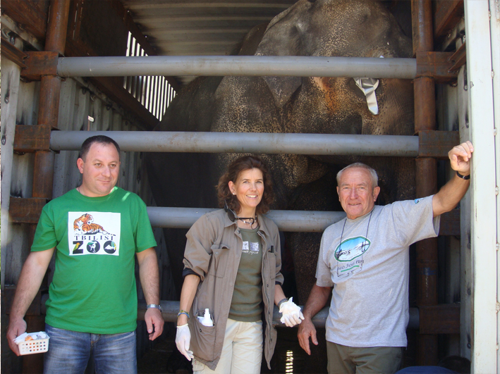 Wildtierhilfe Elefanten Zoo Armenien