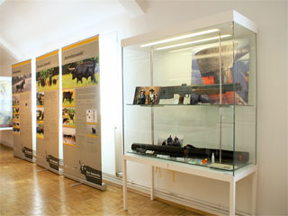 Jagdmuseum in München