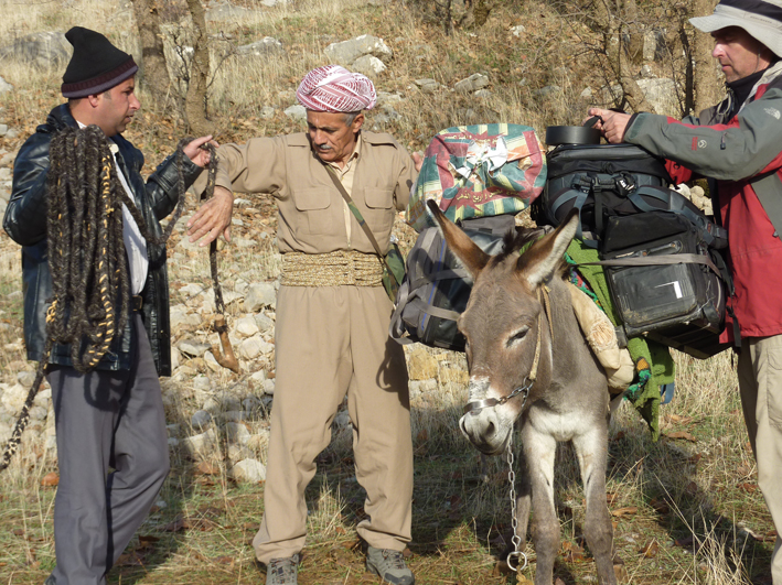 Artenschutz Bezoar-Ziegen Kurdistan