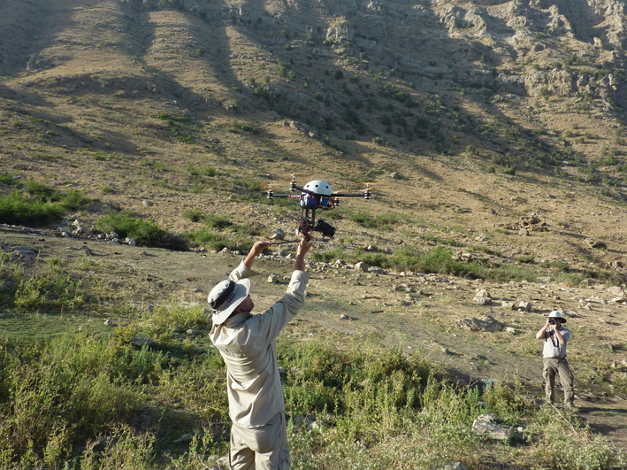 Artenschutz Bezoar-Ziegen Kurdistan