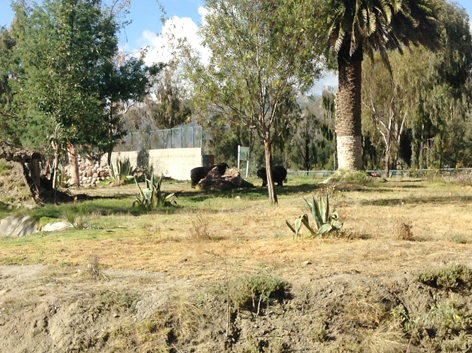 Akademie für Zoo- und Wildtierschutz in Bolivien