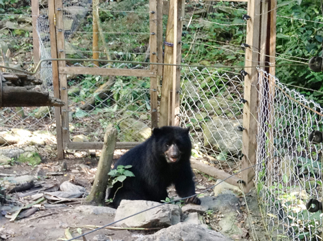 Akademie für Zoo- und Wildtierschutz in Bolivien