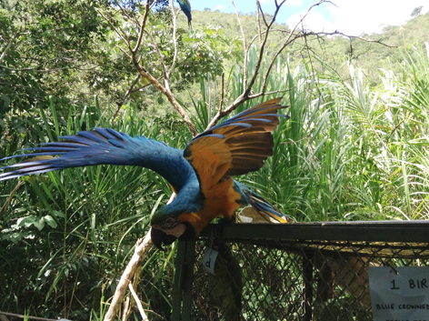 Akademie für Zoo- und Wildtierschutz in Bolivien