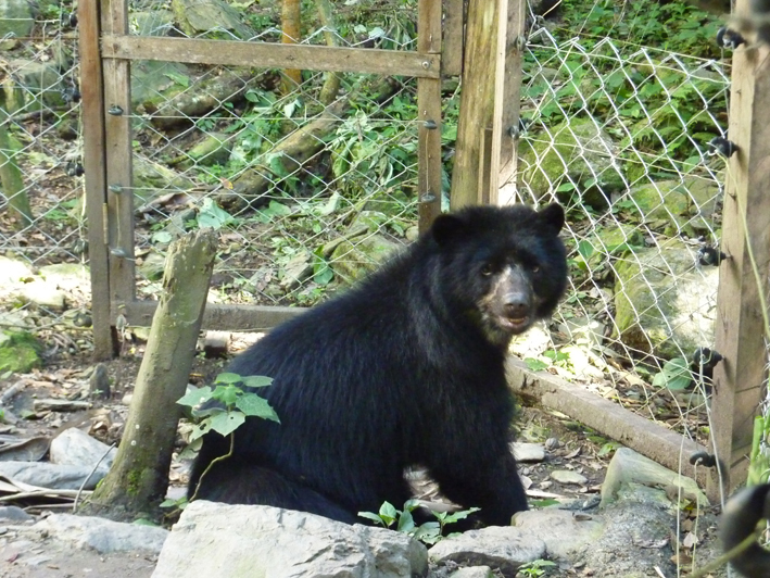 Akademie für Zoo- und Wildtierschutz in Bolivien