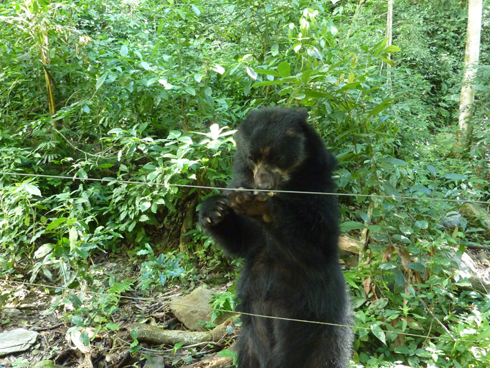 Akademie für Zoo- und Wildtierschutz in Bolivien