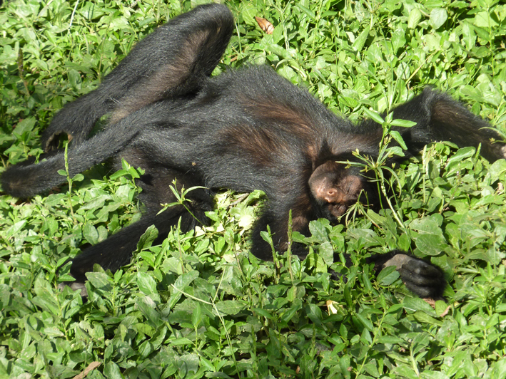 Akademie für Zoo- und Wildtierschutz in Bolivien