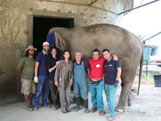 Elefanten-Workshop der Akademie für Zoo- und Wildtierschutz