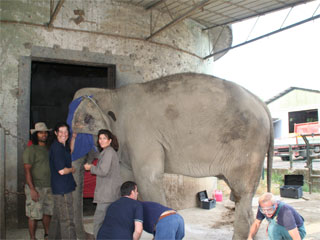 Elefanten-Workshop der Akademie für Zoo- und Wildtierschutz