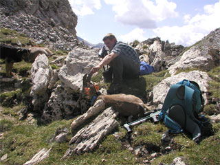 Hohe Tauern Wildtierschutz