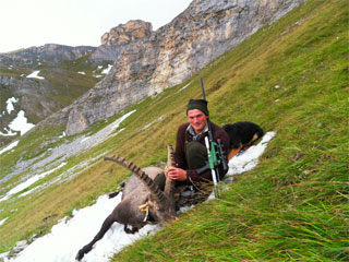 Hohe Tauern Wildtierschutz