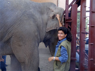 Akademie für Zoo- und Wildtierschutz e.V. im Zoo Almaty