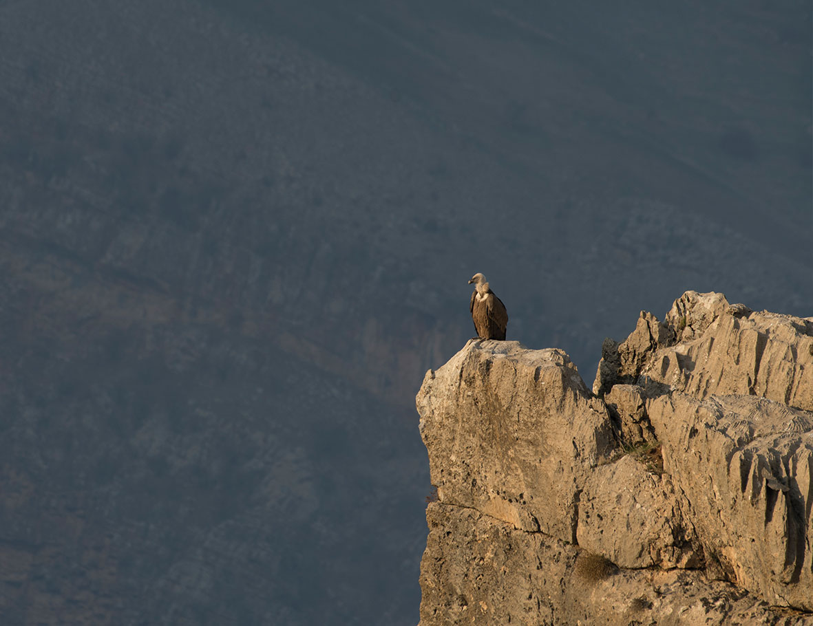 Barzani DSC1654