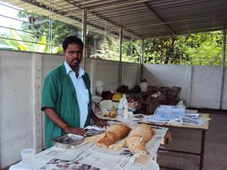 Strassenhunde in Indien