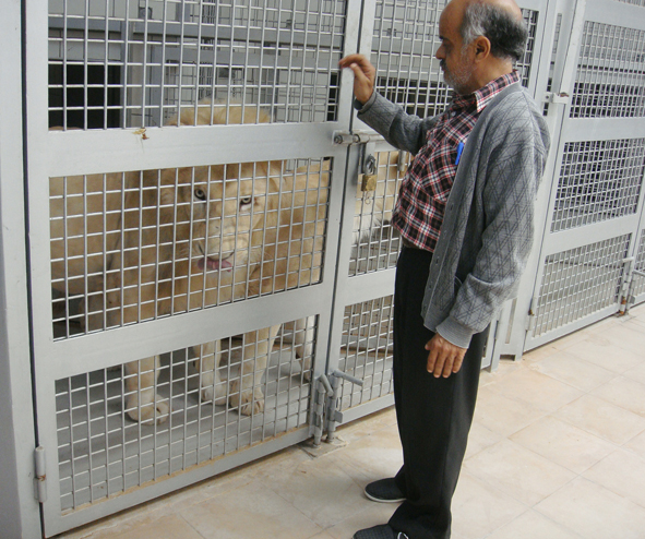 AZWS Zoo- und Wildtierschutz in Lybien 2013