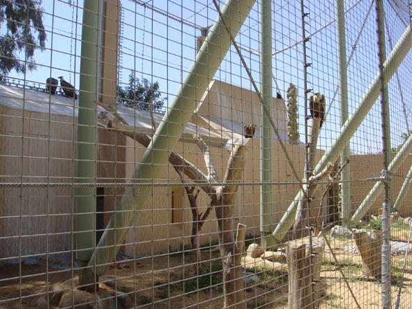 AZWS Zoo- und Wildtierschutz in Lybien 2013