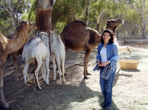 AZWS Zoo- und Wildtierschutz in Lybien 2013