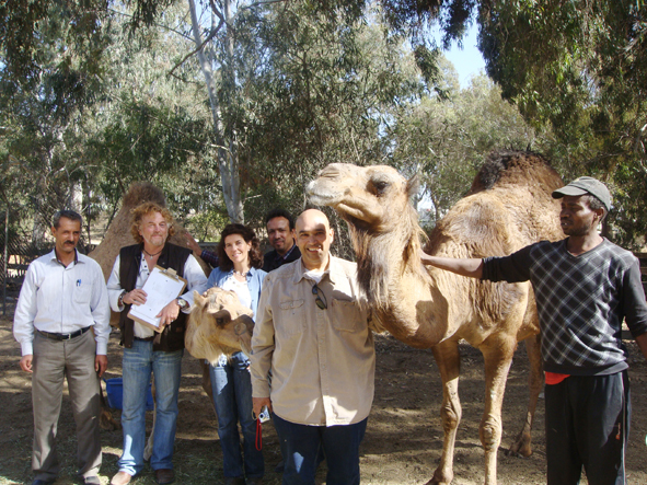 AZWS Zoo- und Wildtierschutz in Lybien 2013