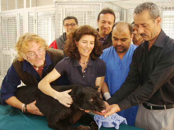 AZWS Zoo- und Wildtierschutz in Lybien 2013